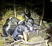 Druskininkų pasieniečiai perėmė su kontrabanda Baltarusijoje paleistus droną ir balioną 