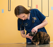 PetCity veterinarė
