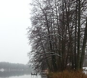Sniego patalas Druskininkų apylinkėse