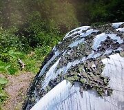 Paslėptas kanapių &scaron;iltnamis