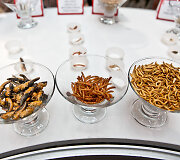 &bdquo;Pestaurant&ldquo; restorano atidarymas