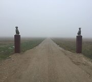 Kelias link augintinių krematoriumo