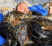 Gyvatės ant Jaromiro Joo 