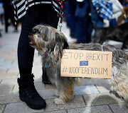 Tūkstantis &scaron;unų su &scaron;eimininkais Londone protestavo prie&scaron; &bdquo;Brexit&ldquo;