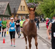 Kumelaitė trasoje