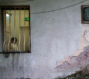 Bulgarijos psichiatrijos ligoninė