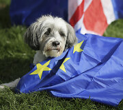 Tūkstantis &scaron;unų su &scaron;eimininkais Londone protestavo prie&scaron; &bdquo;Brexit&ldquo;