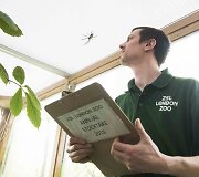 Kasmetinis gyvūnų sura&scaron;ymas Londono zoologijos sode