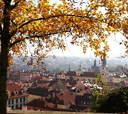 Karali&scaron;kasis sodas