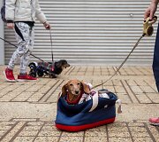 Kinijoje vyko taksų eitynės &bdquo;Sausage walk&ldquo;