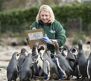 Kasmetinis gyvūnų sura&scaron;ymas Londono zoologijos sode