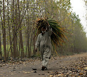 Vyras Pakistane