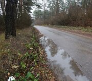 Senasis kelias nuo Karolini&scaron;kių link Salotės ežero