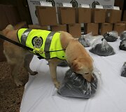 Kolumbijos pareigūnų &scaron;uo aptiko daugiau nei dvi tonas perdažyto kokaino