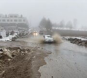 Bendorėlių 1-oji al.