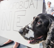 Protesto akcija, siekiant paraginti policiją geriau tirti neapykantos nusikaltimus