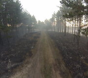 Kur&scaron;ių nerija po gaisro