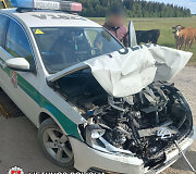 Policijos susidūrimas su bėglio automobiliu