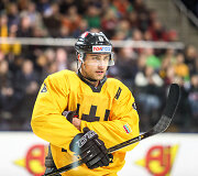Dainius Zubrus