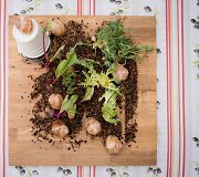 Arūno Oželio restoranas &bdquo;Marche de Provence&ldquo;