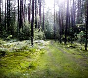 Kelionė dviračiu po Neries regioninį parką