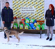 Panevėžio gyvūnų globos draugijos prieglaudoje