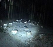 Kapčiamiesčio apylinkėse &ndash; milžini&scaron;kas kontrabandinių cigarečių radinys