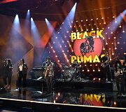 &bdquo;Black Pumas&ldquo;