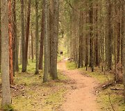 Vainagių mi&scaron;ko pažintinis takas