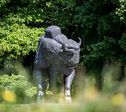 Kauno ąžuolyno parkas