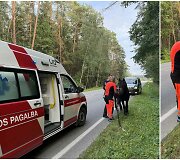Kauno rajone paramedikai ir policija gelbėjo keliu įėjusį arklį
