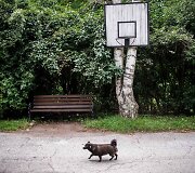 Bulgarijos psichiatrijos ligoninė