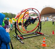 Festivalis &bdquo;PaVINGiuojam&ldquo; Vingio parke