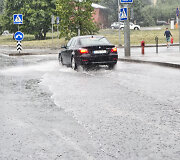 Liūtis Vilniuje