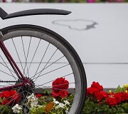 Dviratininkų protestas prie Seimo