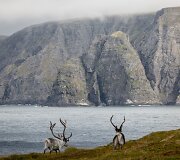 Nordkapas - &scaron;iauriausia Europos vieta vadinamas ta&scaron;kas