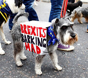 Tūkstantis &scaron;unų su &scaron;eimininkais Londone protestavo prie&scaron; &bdquo;Brexit&ldquo;