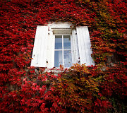 Ruduo Prancūzijoje