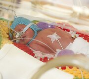 Vilniečių Erikos ir Miroslavo &Scaron;ilobritų &scaron;eima antradienį susilaukė trynukų.