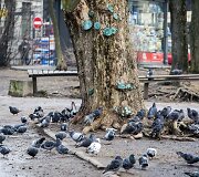 Pavasaris jau pradeda žadinti Vilnių