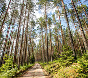 Auk&scaron;taitijos ežerai, mi&scaron;kai ir pievos