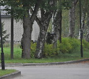 Pratybų akimirka