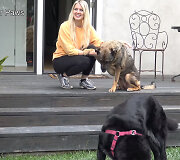 Loreta Frankonytė gelbsti i&scaron;sigandusį &scaron;unį