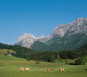 Berchtesgadeno nacionalinis parkas Vokietijoje