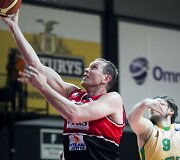 Darius Songaila