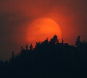 Sibiro taigoje besileidžianti saulė