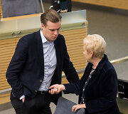 Gabrielius Landsbergis ir Irena Degutienė
