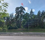 Vytis Geležinio vilko gatvėje