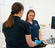 PetCity veterinarai