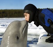 Žmonių ir gyvūnų draugystė